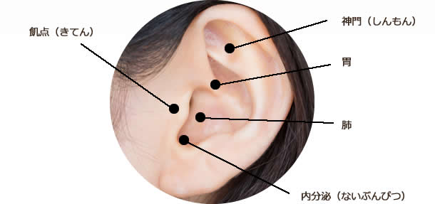 耳つぼダイエットで刺激するツボ
